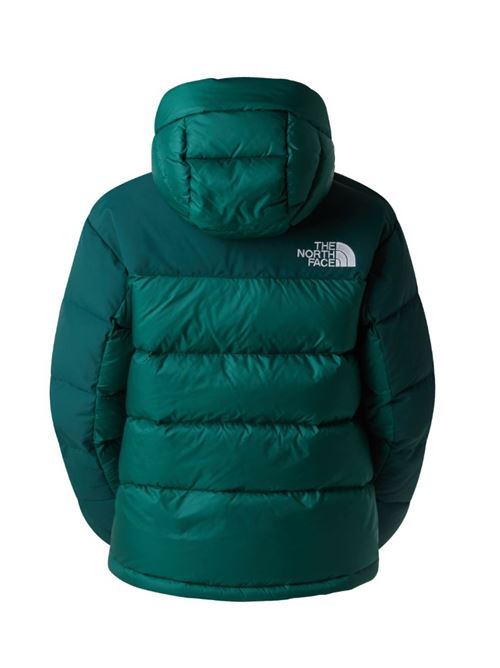 w hmlyn down parka THE NORTH FACE | NF0A4R2WGM0.GM01